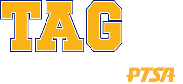 达拉斯天才与资优学校（Townview TAG）